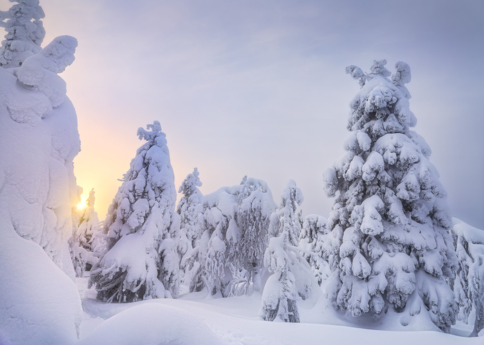 В окрестностях Помяненного камня (Колчимский), Пермский край