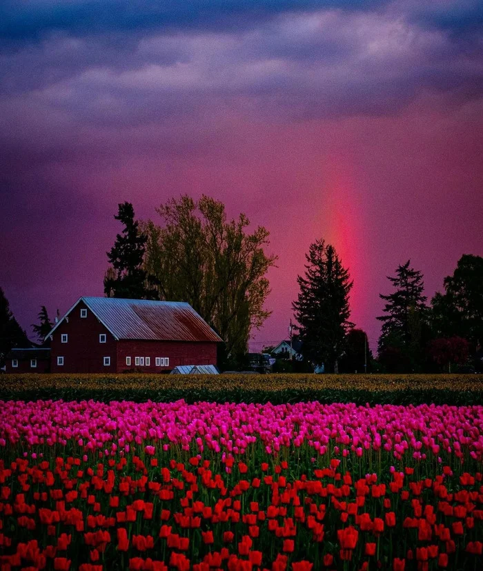 Everything is beautiful in this photo - The photo, House, Flowers, Sky, Beautiful view, Landscape