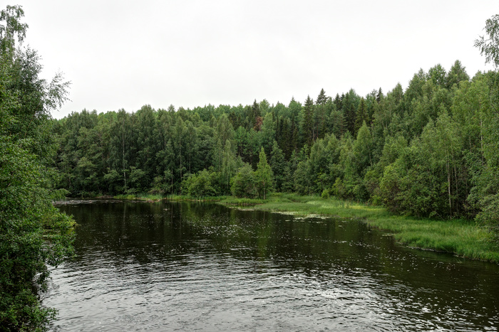 (<a href="https://pikabu.ru/story/vodopad_kivach_12004659?u=https%3A%2F%2Fcommons.wikimedia.org%2Fwiki%2FFile%3AKivach_P7190549_2200.jpg&t=%D0%BF%D0%BE%D0%BB%D0%BD%D0%BE%D1%80%D0%B0%D0%B7%D0%BC%D0%B5%D1%80&h=a625609380f110baf273a43455216b98c05cf6d4" title="https://commons.wikimedia.org/wiki/File:Kivach_P7190549_2200.jpg" target="_blank" rel="nofollow noopener"></a>)