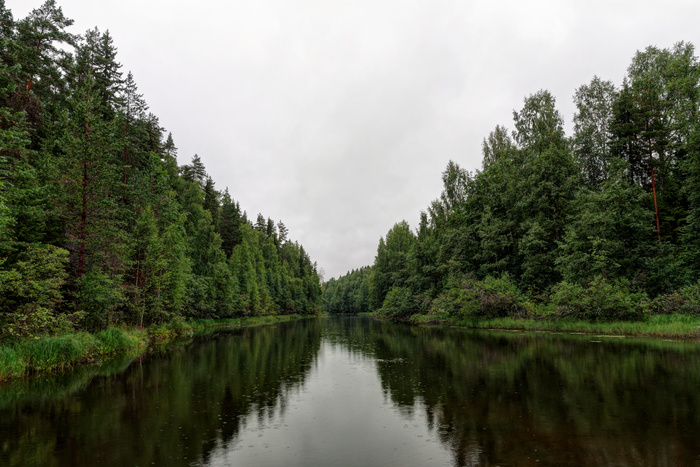 (<a href="https://pikabu.ru/story/vodopad_kivach_12004659?u=https%3A%2F%2Fcommons.wikimedia.org%2Fwiki%2FFile%3AKivach_P7190578_2200.jpg&t=%D0%BF%D0%BE%D0%BB%D0%BD%D0%BE%D1%80%D0%B0%D0%B7%D0%BC%D0%B5%D1%80&h=3b2451c1814240f200eb9d749233d1321937d82b" title="https://commons.wikimedia.org/wiki/File:Kivach_P7190578_2200.jpg" target="_blank" rel="nofollow noopener"></a>)