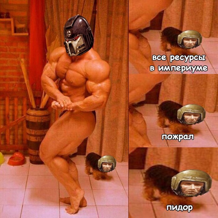   Warhammer, Wh humor, Warhammer 40k,   , 