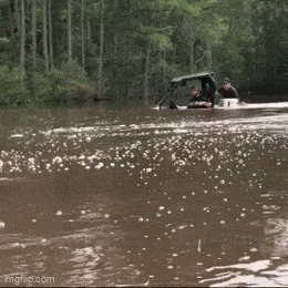Пестрая подборка гифок на водную тематику Вода, Гифка, Ассорти, Длиннопост