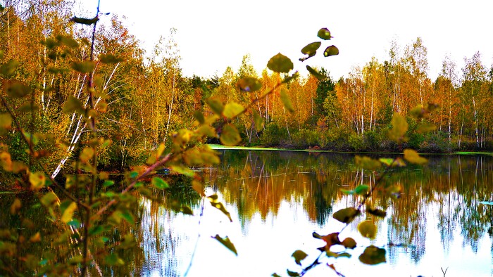 Осенний пейзаж