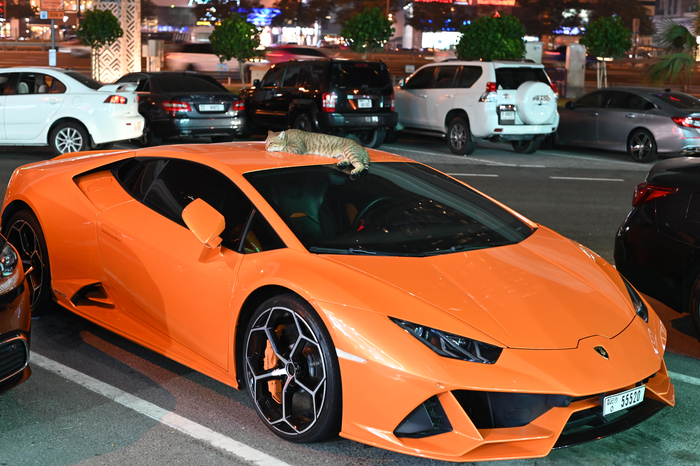        , Lamborghini, 