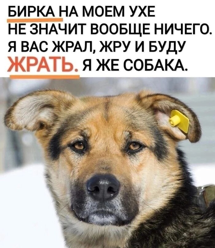 Ответ на пост «Бурматов убил ещё одного человека»