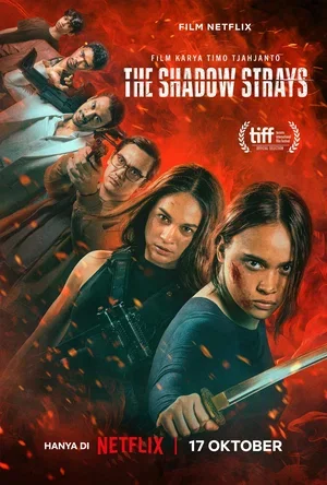 Блуждающая тень / The Shadow Strays (2024) - Моё, Обзор фильмов, Советую посмотреть, Боевики, Новинки кино, Новости кино и сериалов, Трэш