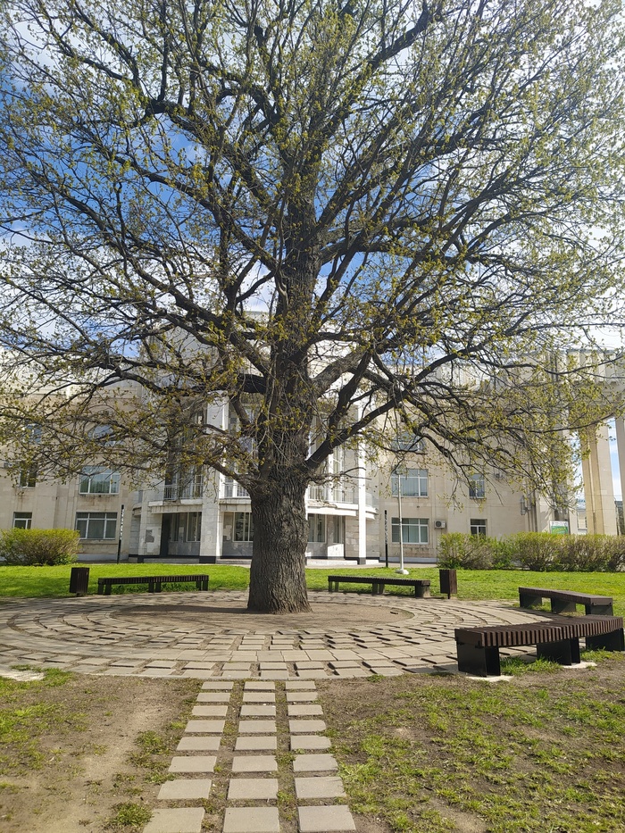 Весна придёт!