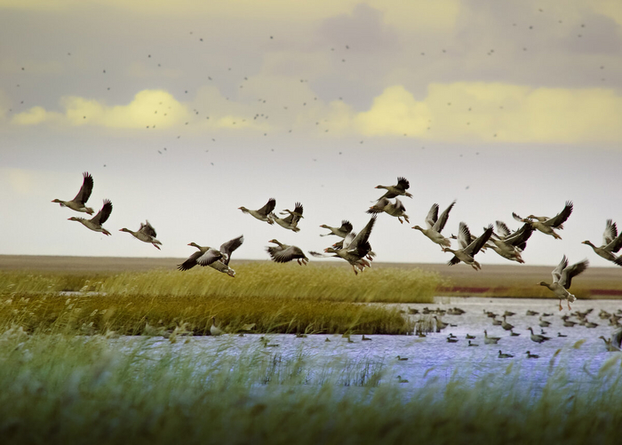 То чувство, когда пошел с работы домой.