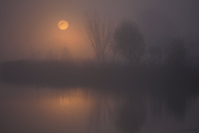 "Петербургские восходы" ... ноябрь