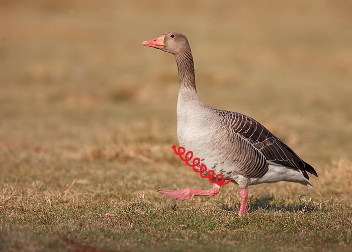 Не сочтите это за абсурд, это абсолютно так, для тех кто не верит вбивайте в поисковик