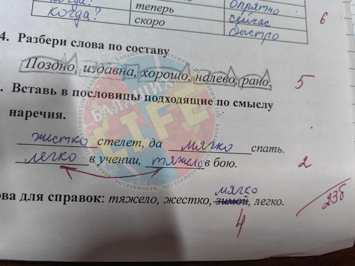 These are the teachers in Balashikha - Balashikha, School, Grade, Error, Teacher