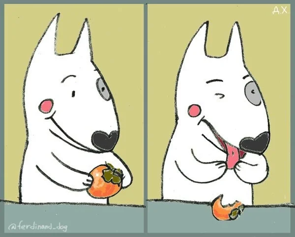 It knits or it doesn't knit, I'll try now... - My, Persimmon, Фрукты, Food, Dog, Drawing, Author's comic, Humor