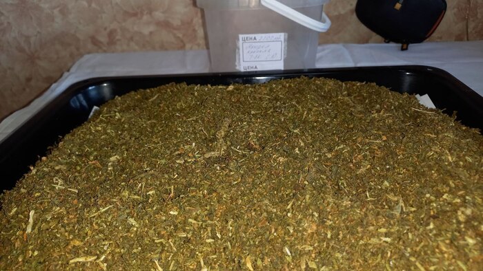 Бешеная махорка от Т56