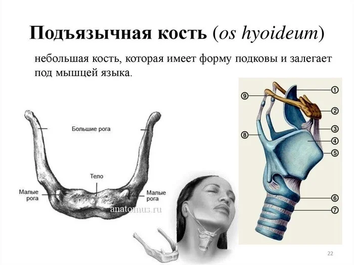 Да не жир это! - Моё, Красота, Жизненно