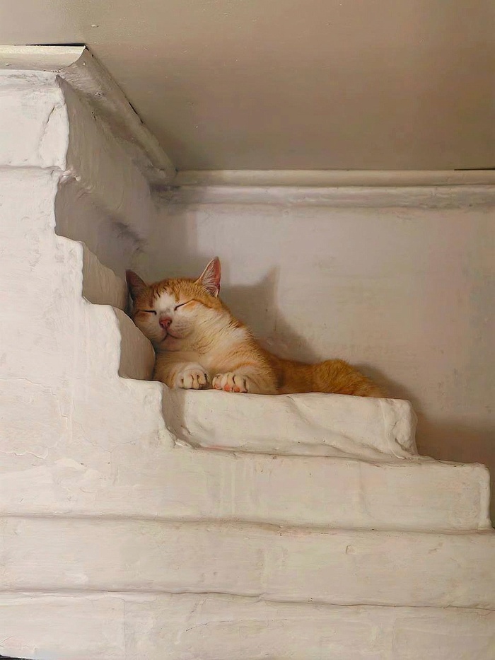  ,  , , ,  (),  , 