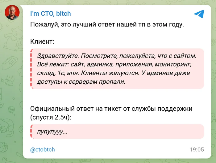 Support - My, I`m CTO bitch, IT humor, Humor, Support service, The moral support, A difficult situation, Suddenly, Broke the system, Screenshot, Laziness