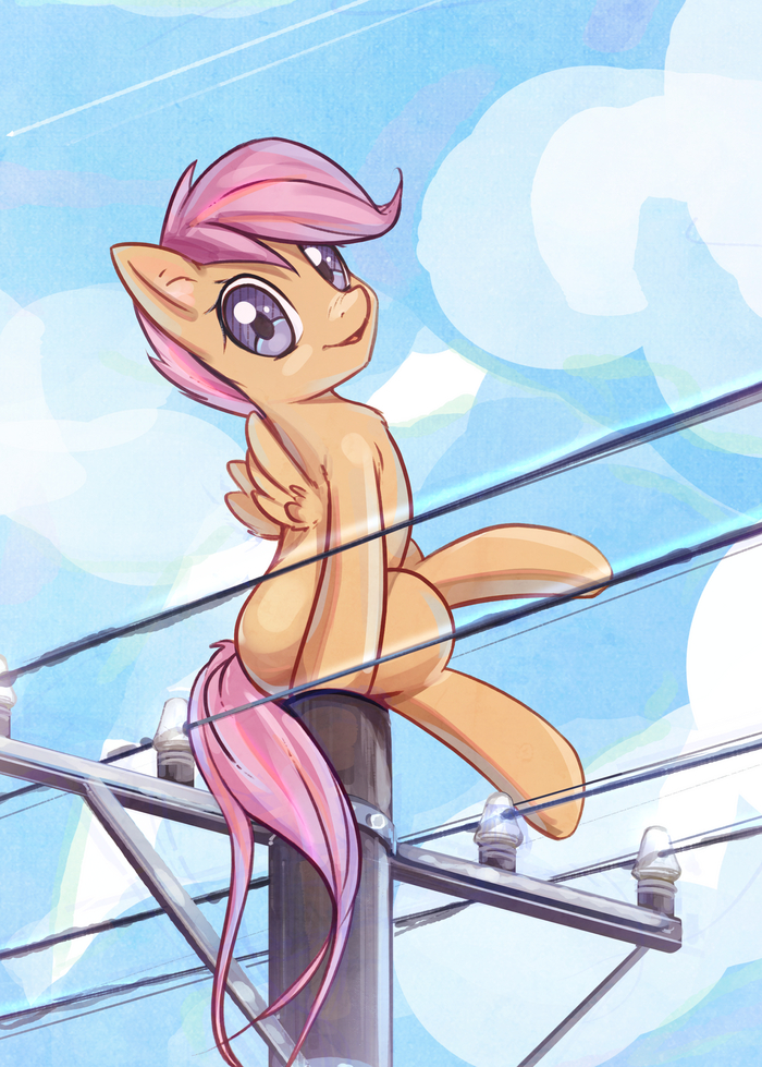  ,   My Little Pony, Scootaloo, Mirroredsea