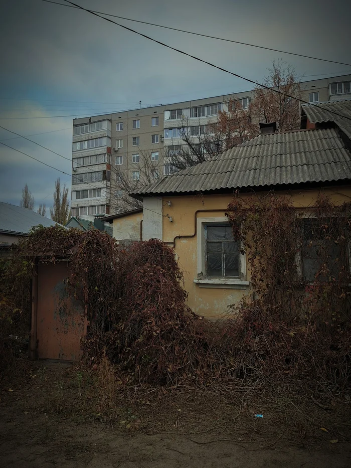 VAI outskirts - My, Voronezh, Vai, Outskirts, Teddy bear, High-rise building, Residential complex, Mobile photography, Beginning photographer, Longpost