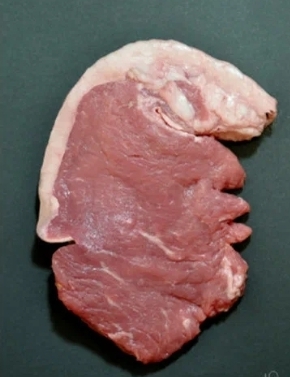 ������ �����