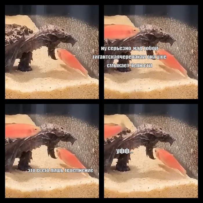    , , , ,  , 