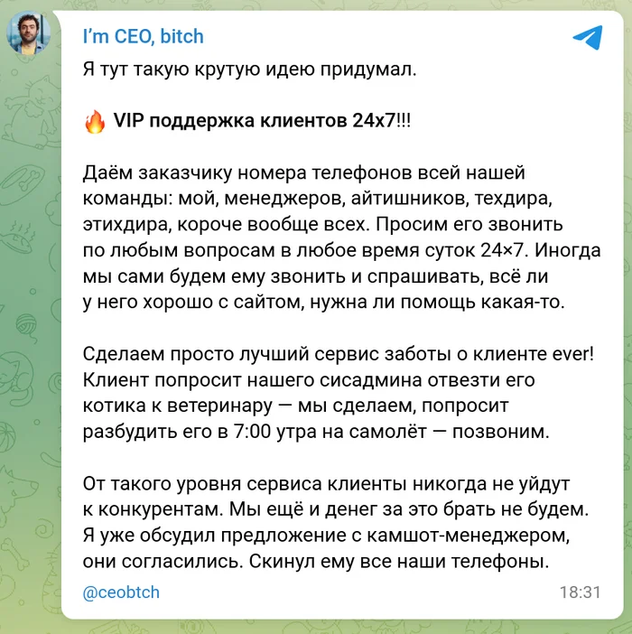 Круглосуточная VIP поддержка - Моё, IT юмор, Юмор, Скриншот, Служба поддержки, Идиотизм, Начальство, Персональные данные, Забота, Клиентоориентированность, Клиенты, Конкуренция