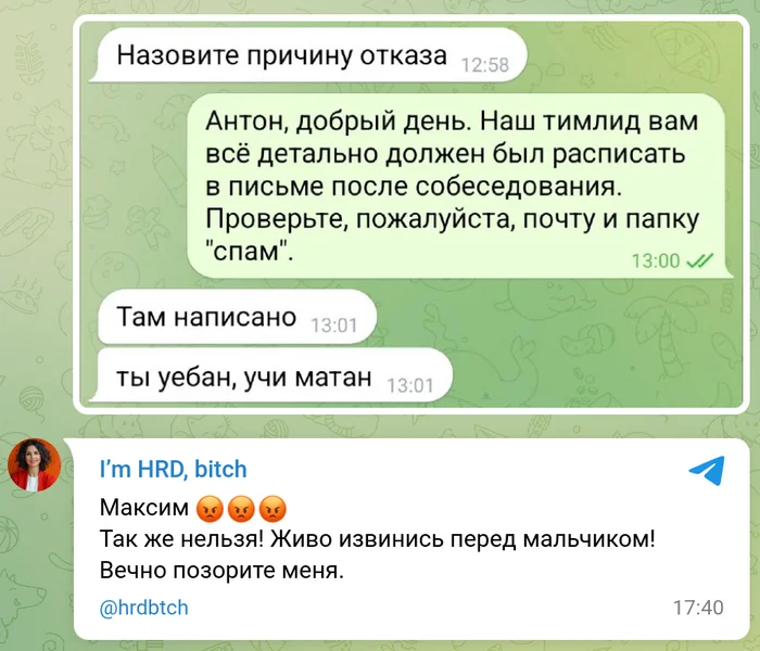 Конструктивный фидбек после собеседования - Моё, Юмор, Собеседование, Найм, Работа HR, Скриншот, Переписка, Отдел кадров, Мат, Математический анализ, Грубость, Обратная связь, Тимлид, Поиск работы