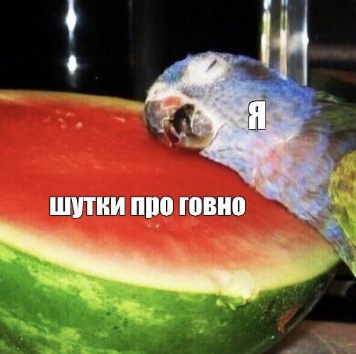 �� ��� ������ �����