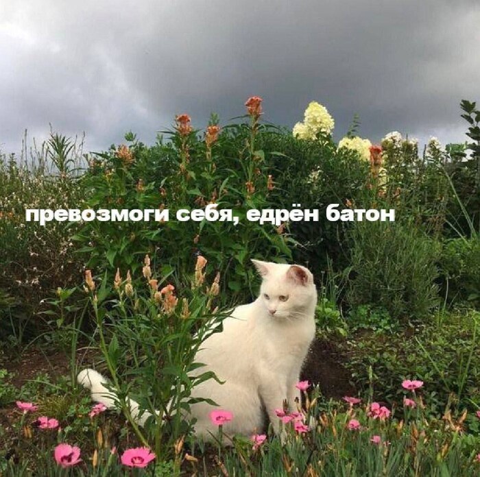 ������ ������� (��� �� �������), ����� ������!