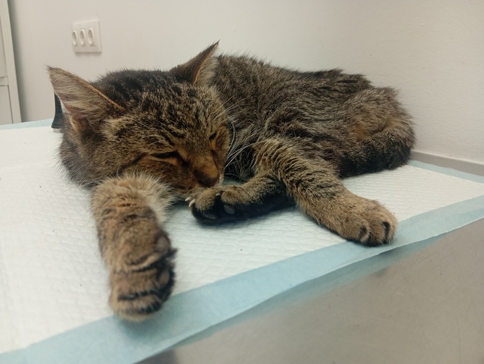      ,    &#x2764;&#x200D;&#x1FA79;