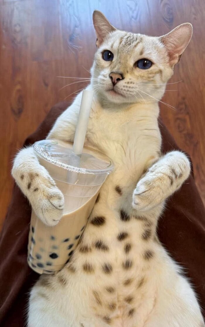  ,    , , , , ,  