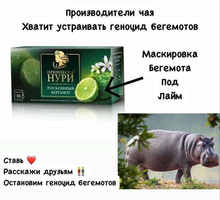 Куда смотрят зоозащитники