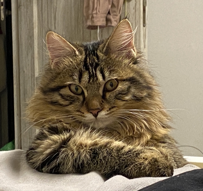 Ну давай, рассказывай, я слушаю, но настроена скептически …