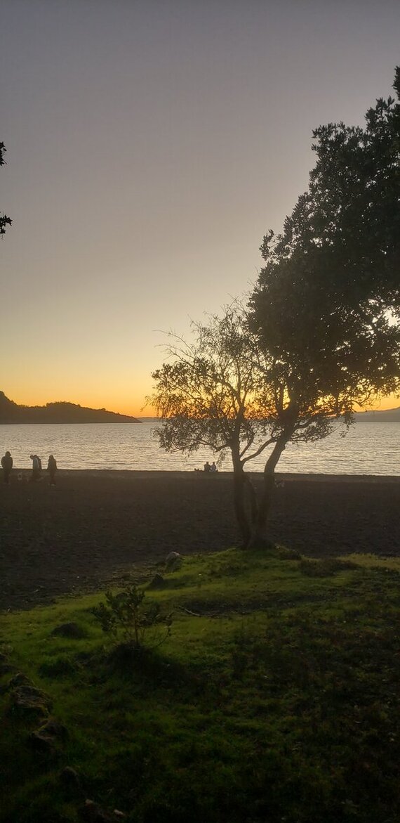 ����� ���������� ��� ������ � ������ �����