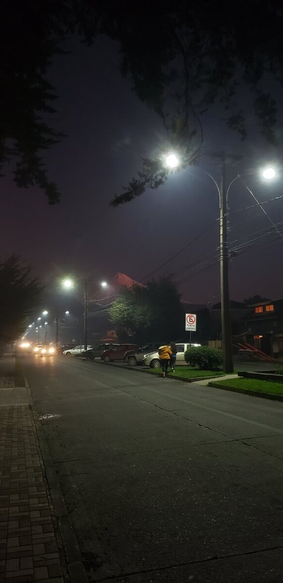 ������ �����