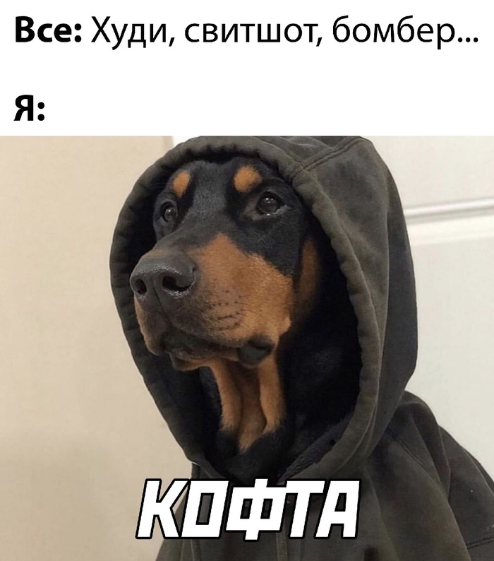 1731332387165556479.jpg