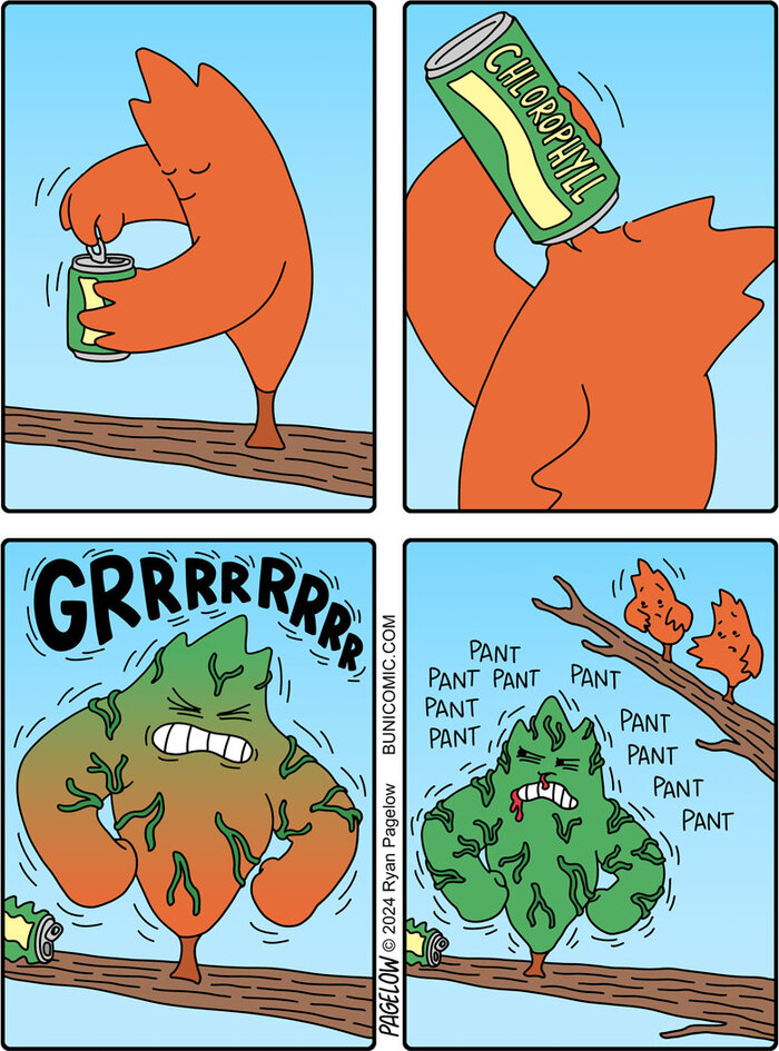 Подготовка к осени