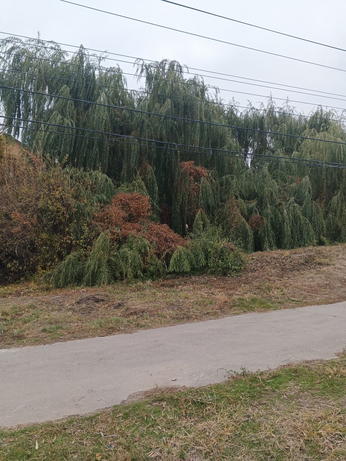 Это в Волжском