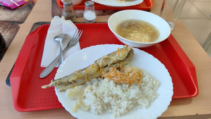 �������� ���������