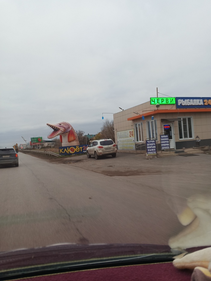 Здесь все для рыбалки, черви на любой вкус, а в Ленинском продают подготовленых червей. Психологически наверное.