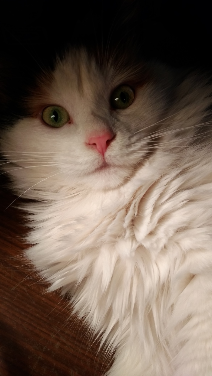 ��� �������� :)