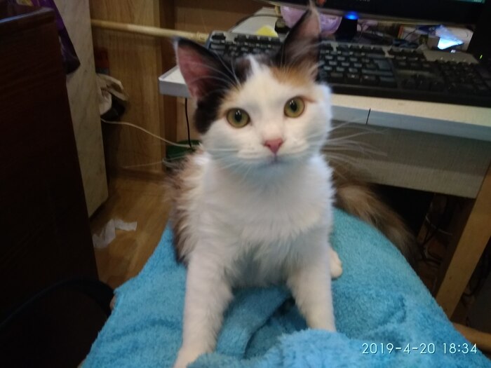 ��� "���������" �� ����� �� 8 �����. ������� 7 �������, �.�. ����� ��� ����� �����, ��� ��� ����� � ����. � ��� ������ �� ���� � �����, ������ ��� � ��������� �������� ��� ������.