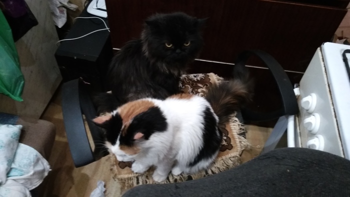 ��� ���, 15-������ ����� � ���� ������� :) ������������ ��� ���� :)