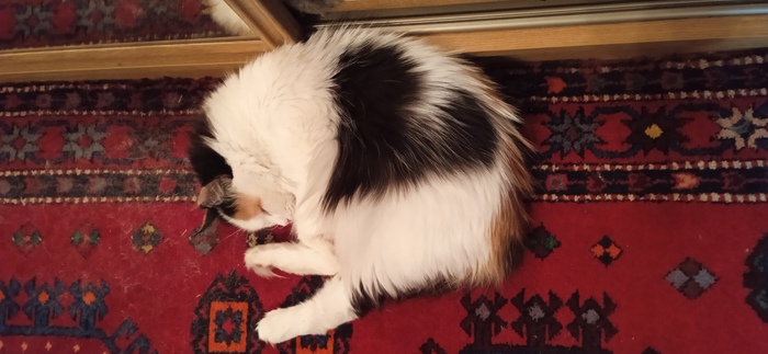 ����� � ��������� �������� :)