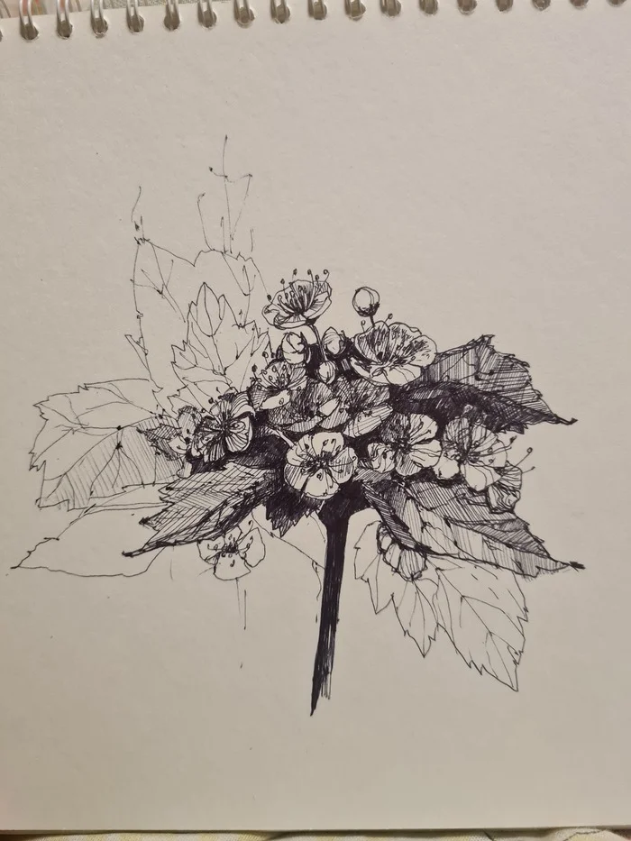 Something on the flower - My, Drawing, Handmade, Graphics, Sketchbook, Sketch, Presents, Sketch, Liner