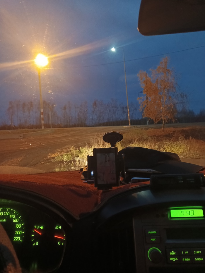 Березка ещё с листьями...