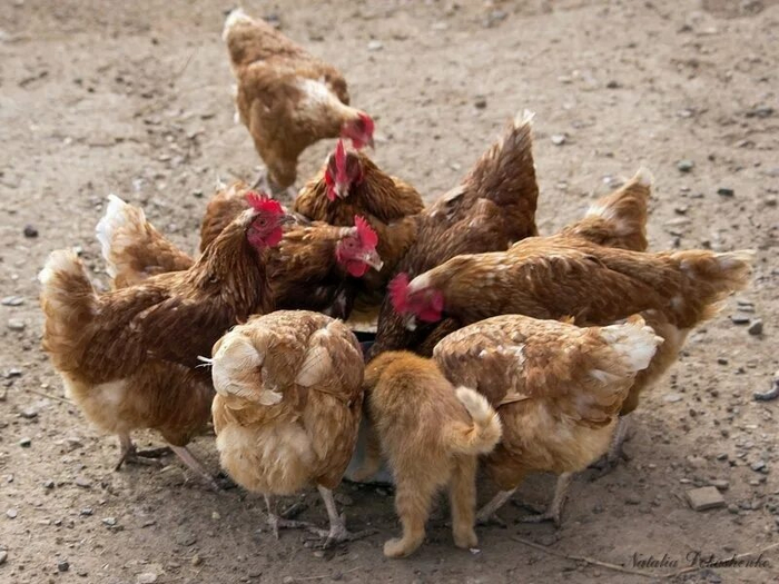 Когда соврал в резюме, но тебя всё равно взяли на работу.