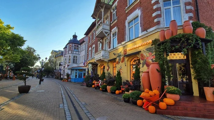 Remembering the bright autumn - My, The photo, Zelenogradsk, Autumn, Pumpkin, Morning, Photo on sneaker, Longpost