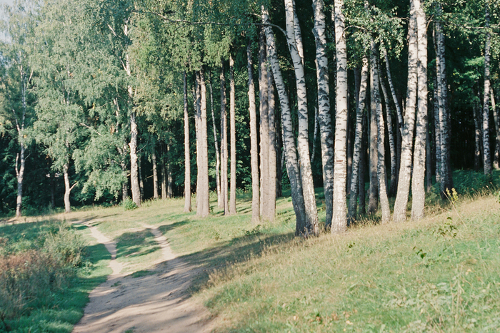 �������� 1/500, ��������� 5.6, ISO 200