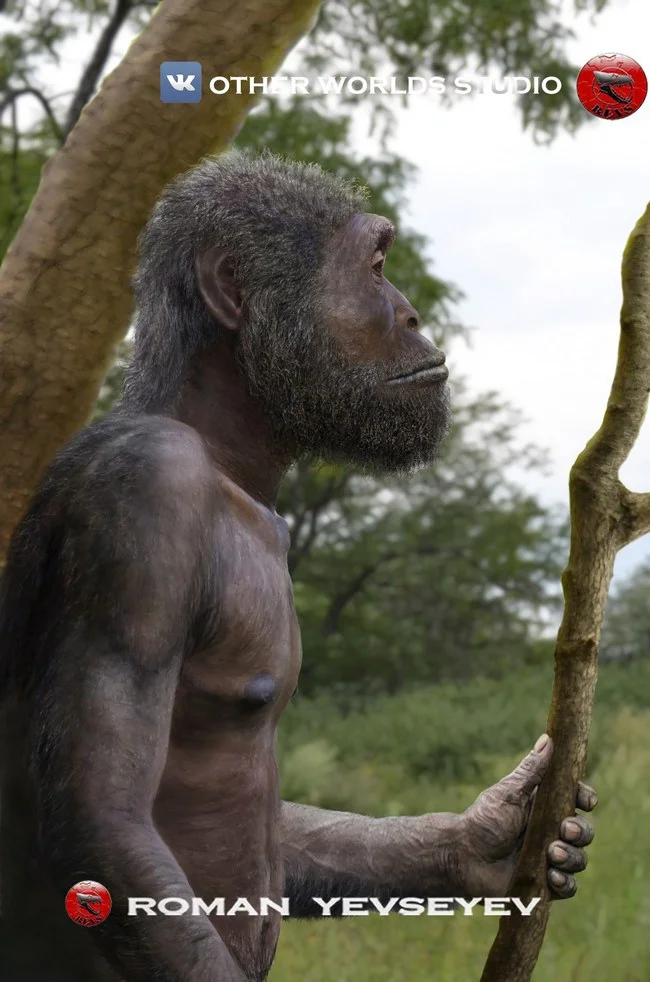 Homo naledi looks around the clearing warily - My, Nauchpop, Research, Ancient people, Longpost, Stanislav Drobyshevsky