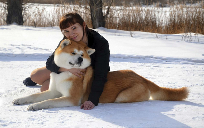 Только сильные духом и характером могут стать другом и товарищем для этой породы.